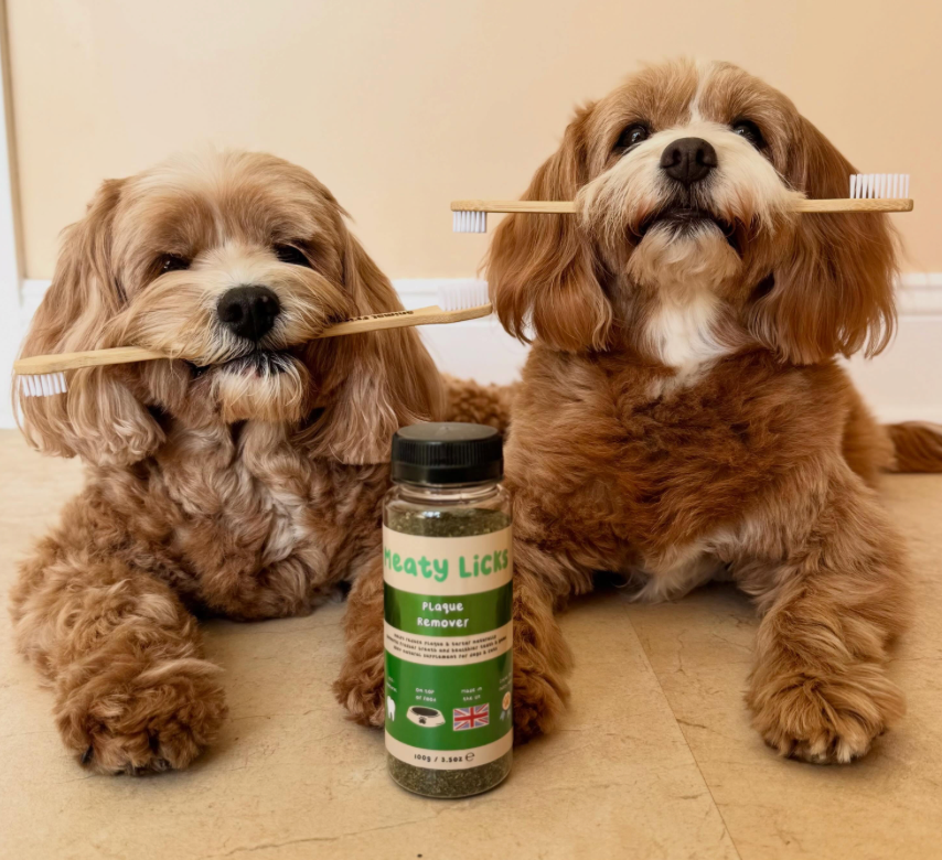 Meaty Licks Plaque Remover - For Dogs & Cats