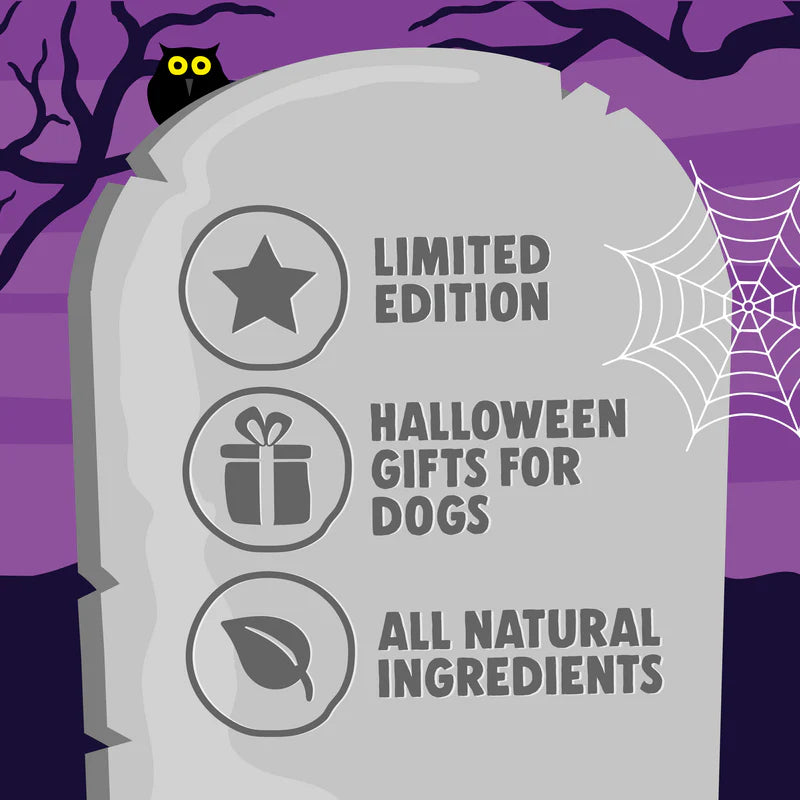 Denzel's Halloween Haunted House Treat Box for Dogs