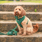 Green Velvet - 4 Piece Bundle - Dog Harness, Collar, Lead & Poop Bag Holder