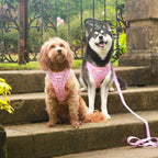 I woof You - 4 Piece Bundle - Dog Harness, Collar, Lead & Poop Bag Holder