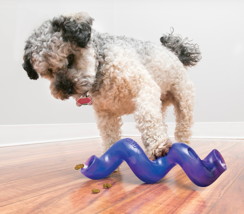 Treat Spiral Stick Purple with dog