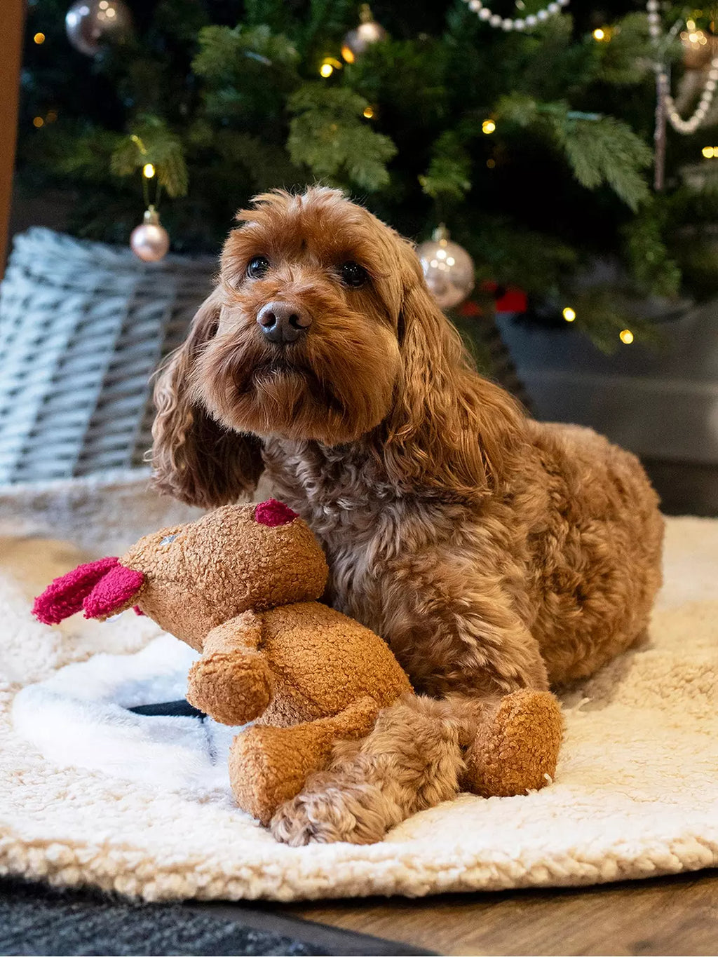 Rosewood Christmas Tufflove Reindeer