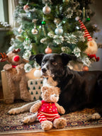 Christmas Festive Buddy Bear Comfort Dog Toy