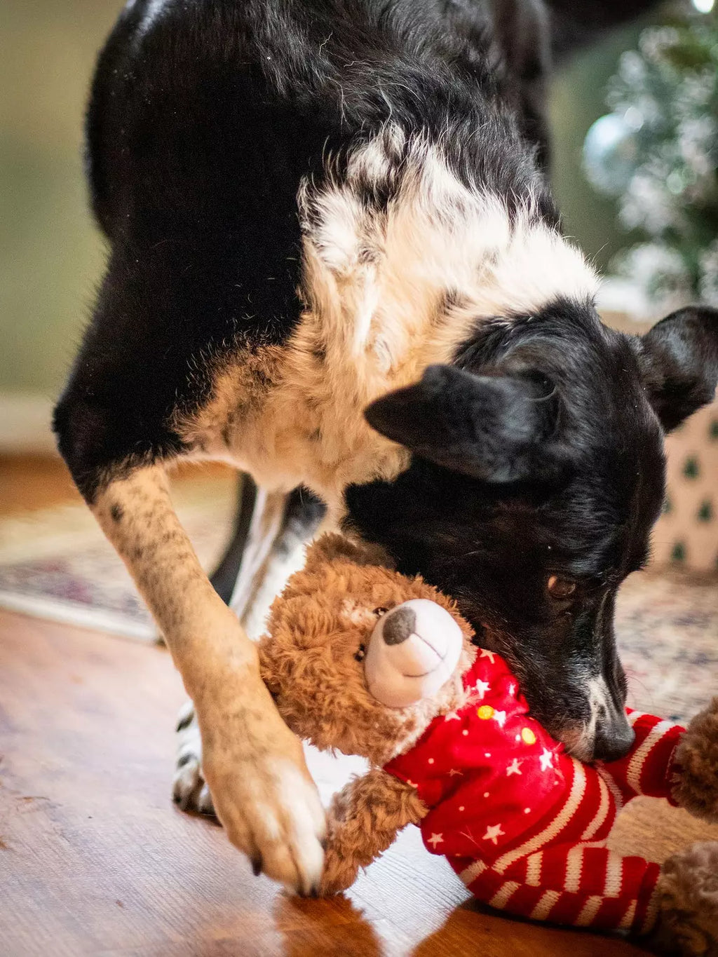 Christmas Festive Buddy Bear Comfort Dog Toy