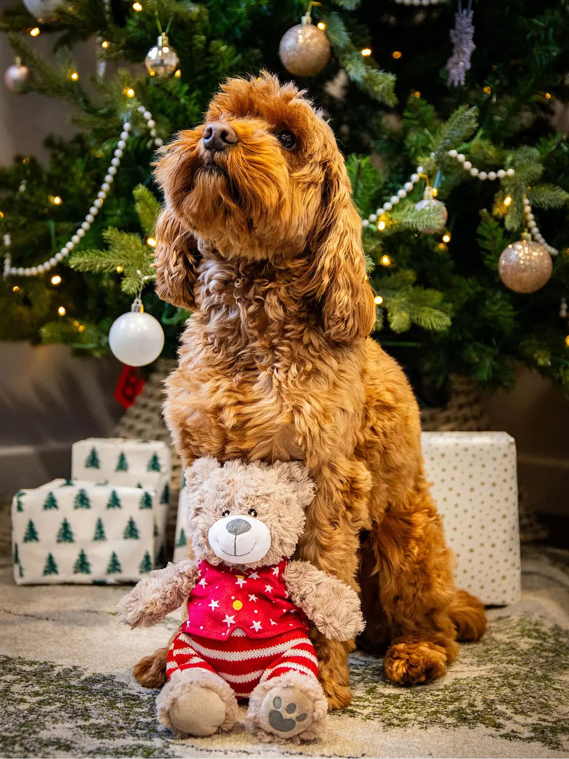 Christmas Festive Buddy Bear Comfort Dog Toy