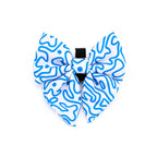 Blue and white patterned bow tie on a white background