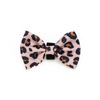 Leopard print bow tie on a white background