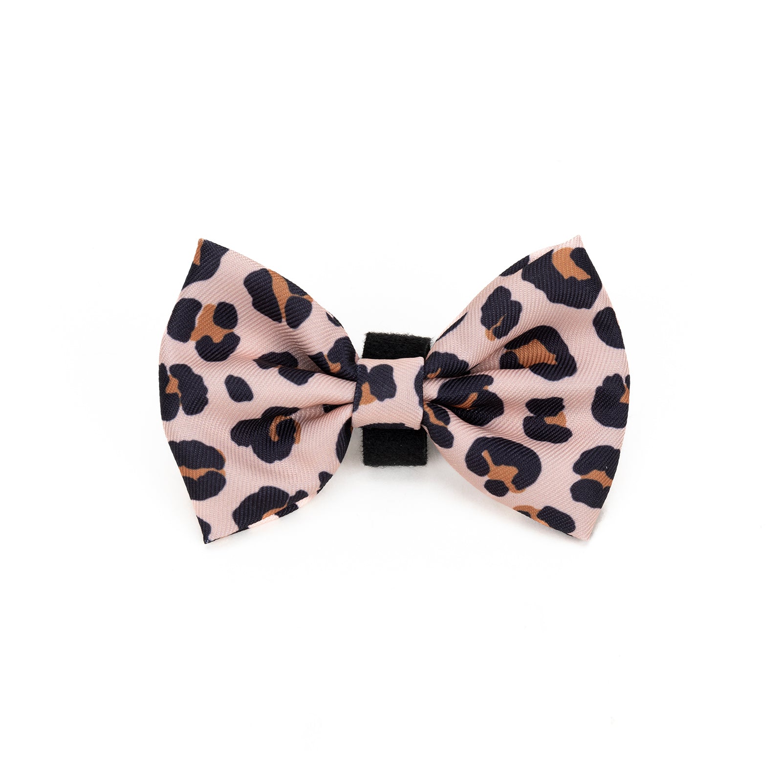 Leopard print bow tie on a white background