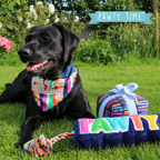 Bark if it's your Birthday Pup Bandana