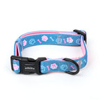 blue and pink padded dog collar showing the black clasp and D ring for lead