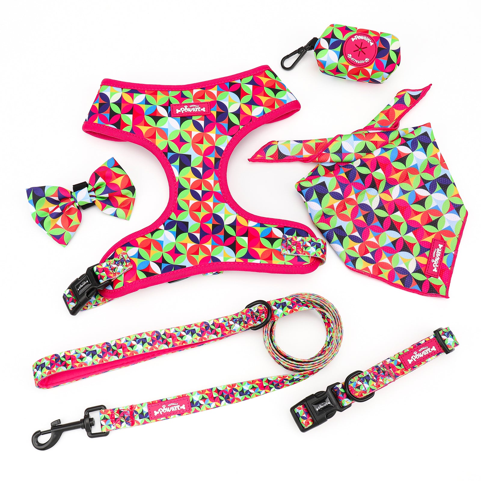 Colorful dog harness, leash, collar, bandana, and bow tie set on a white background
