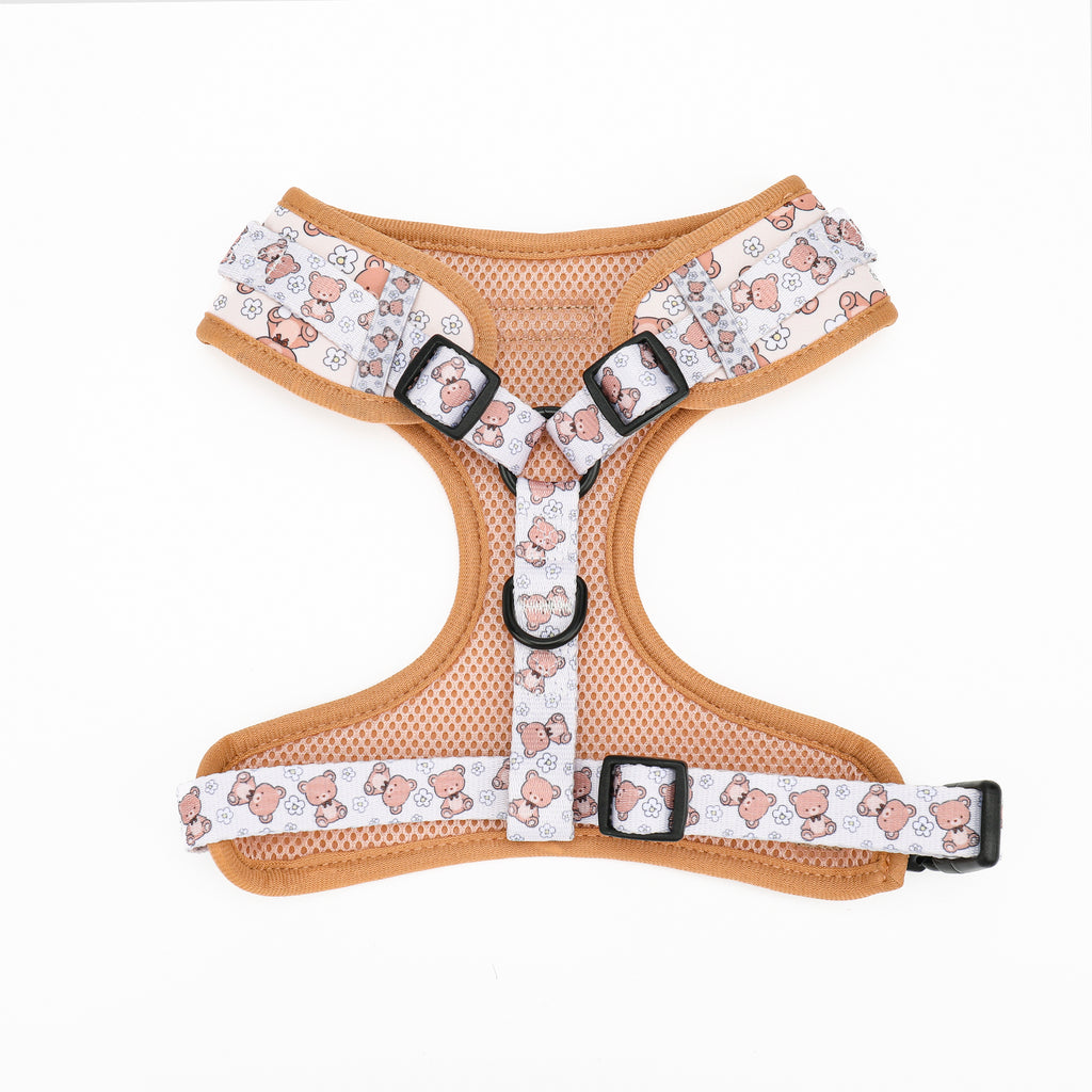 Dog harness with teddy bear pattern on a white background