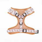 Dog harness with teddy bear pattern on a white background
