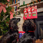 Denzel's Christmas Stocking for Dogs & Puppies