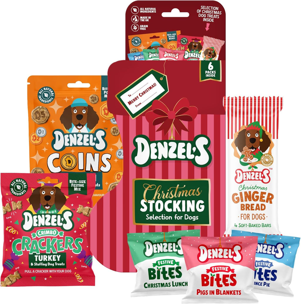 Denzel's Christmas Stocking for Dogs & Puppies