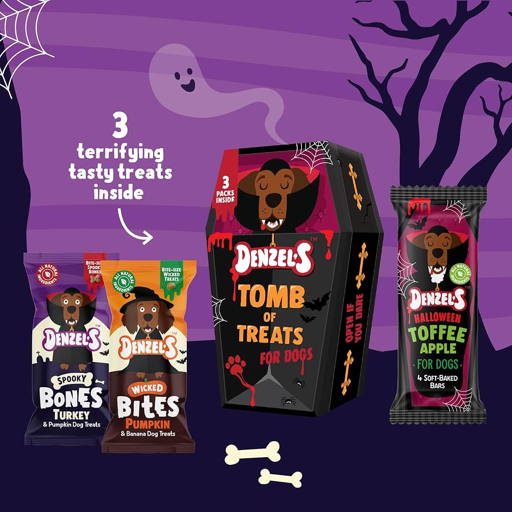 Denzel's Halloween Tomb Treat Box for Dogs