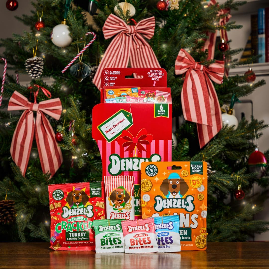 Denzel's Christmas Stocking for Dogs & Puppies