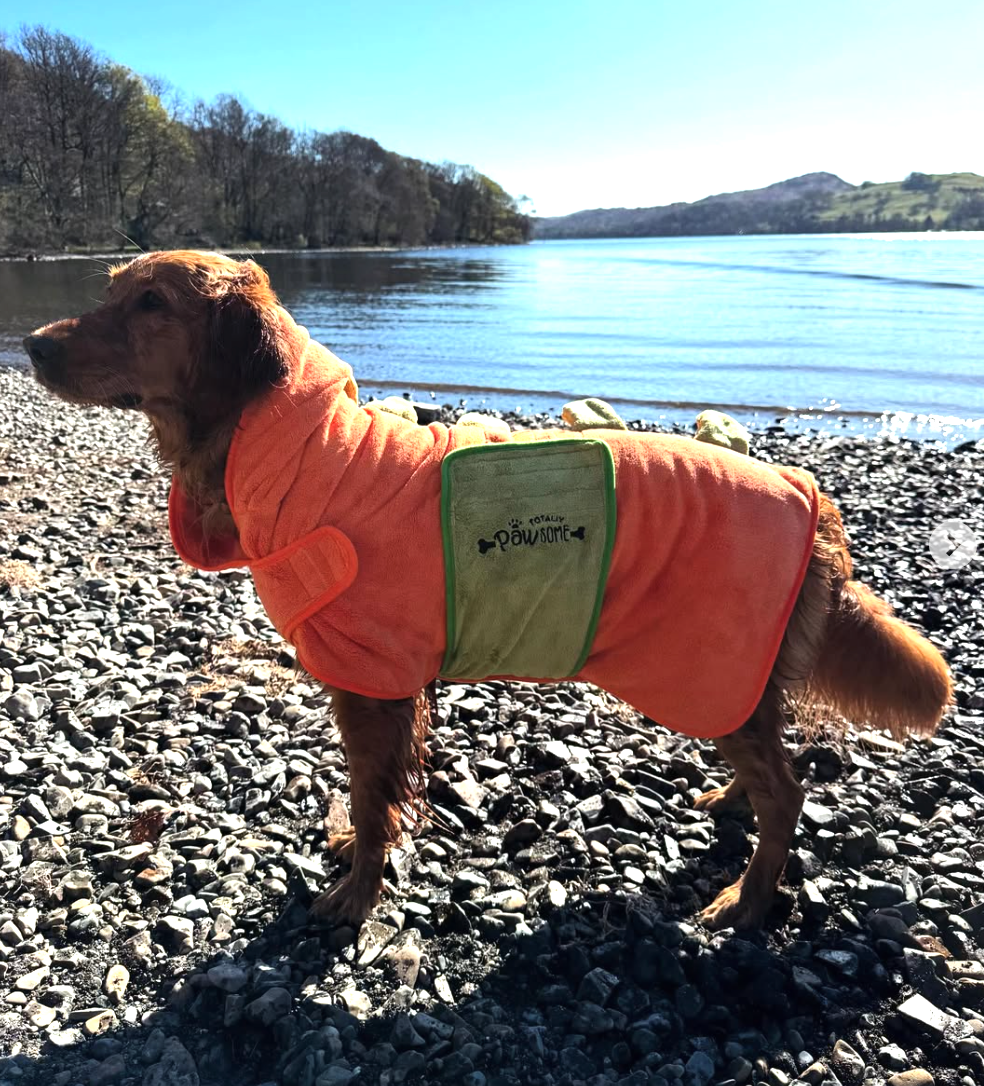 DinoPaws Drying Robe
