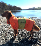 DinoPaws Drying Robe