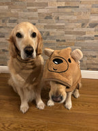 Side profile of dog in hooded bear drying robe with full coverage