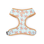 Dog harness with teddy bear pattern on a light blue background