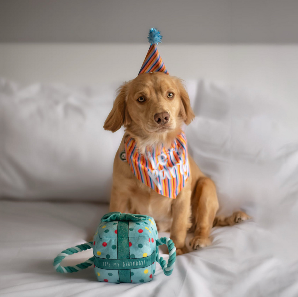 Lets Party Birthday Pup Birthday Bandana & Pawty Hat