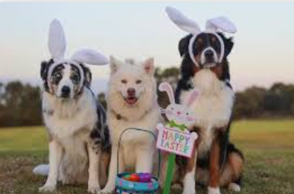 easter dogs