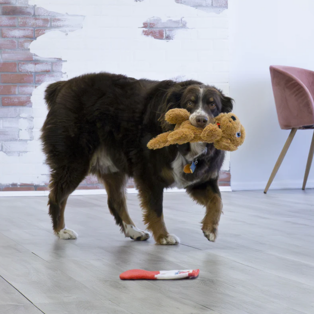 Kong Comfort Goldie Pups