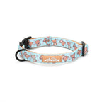 Dog collar with teddy bear pattern on a white background