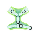 Dog harness with green border and reflective material on a white background