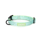 Dog collar with floral pattern on a white background