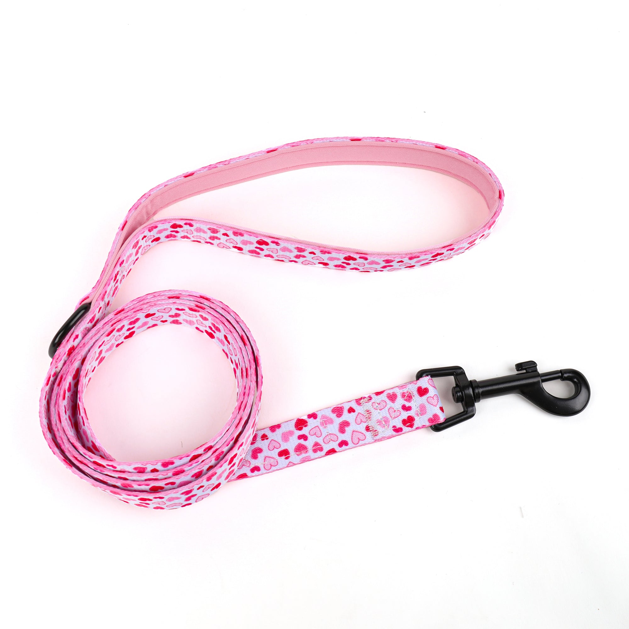 heats dog leash