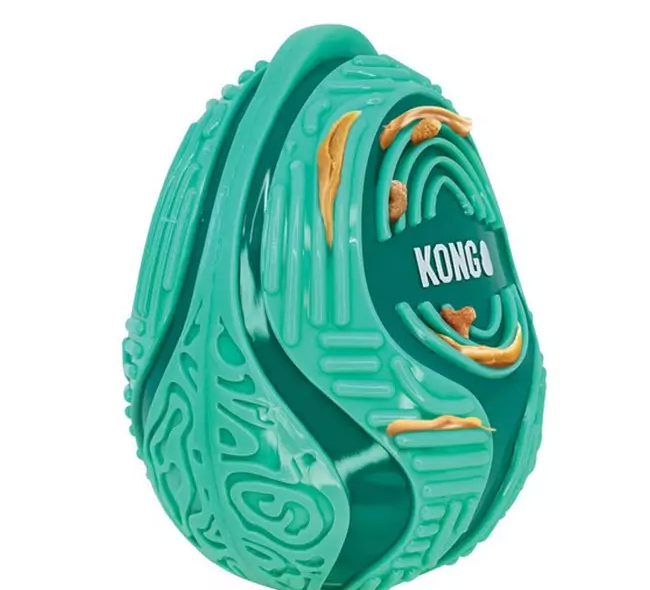 kong treat dispenser with treat