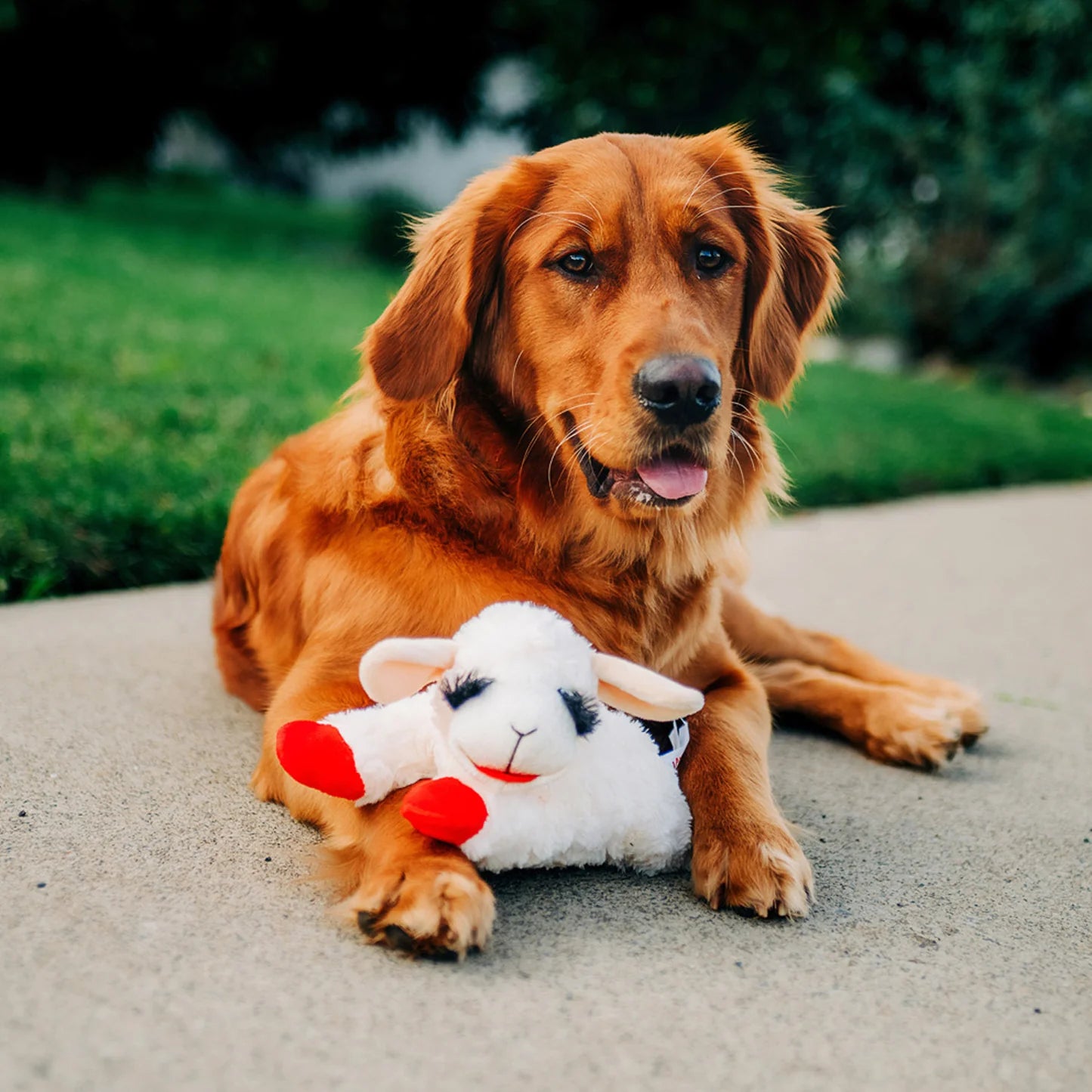Santa Lamb Chop Soft Plush Dog Toy