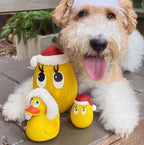 OVO Egg Mini Original - Christmas 2 Pack - Dog Toy