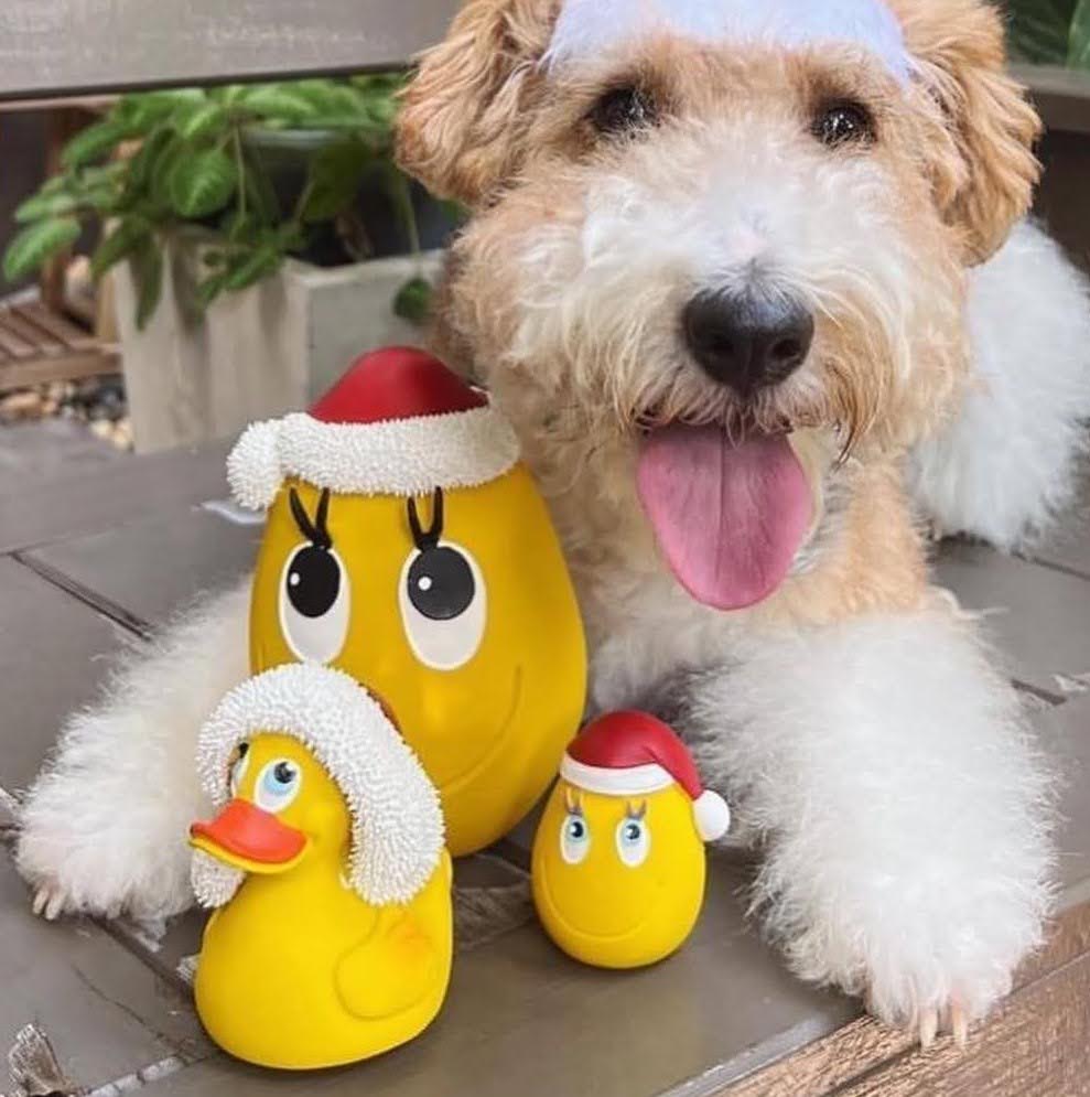 OVO Egg Mini Original - Christmas 2 Pack - Dog Toy