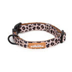 Leopard print dog collar with a visible brand label on a white background