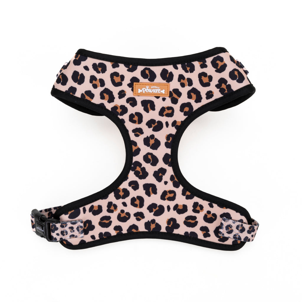 Leopard print dog harness on a white background