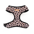 Leopard print dog harness on a white background