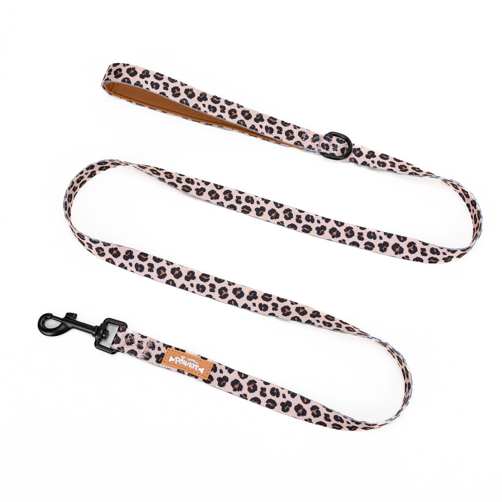 Leash with leopard print pattern on a white background