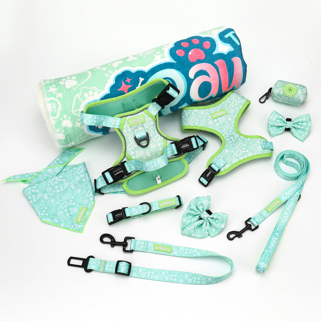 Collection of dog accessories including harnesses, leashes, and a mat on a white background