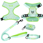 Set of dog harness, leash, and collar with floral pattern on a white background