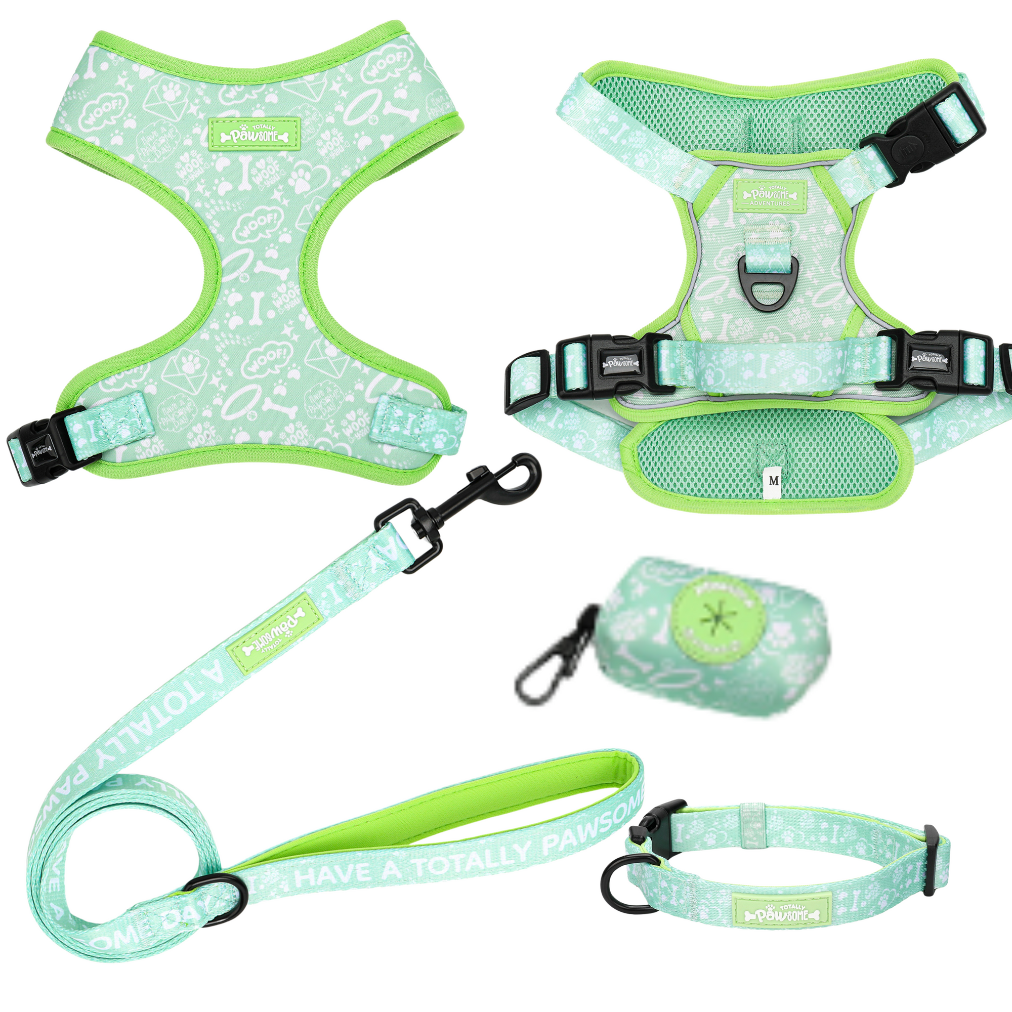 Set of dog harness, leash, and collar with floral pattern on a white background