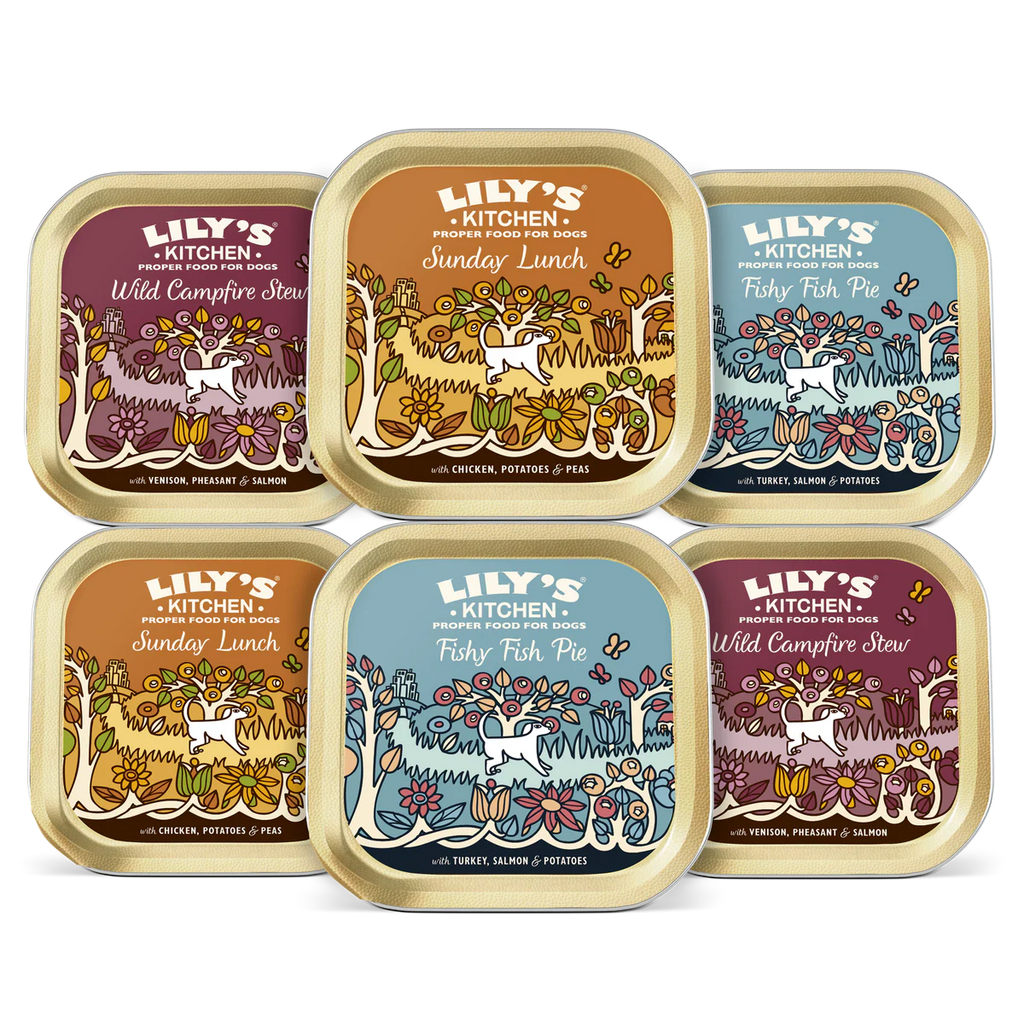 Lilys Kitchen Dog Food Range