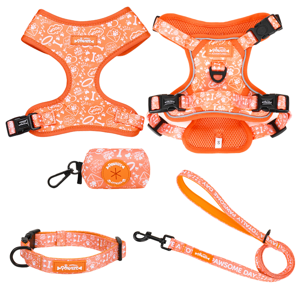 Orange dog harness, leash, and collar set with white patterns on a white background