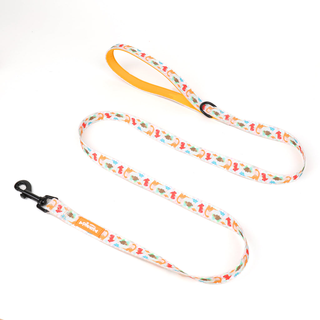 orange dog lead showing the padde handle in bright summer orange