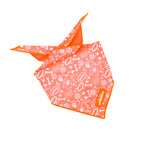 Orange dog bandana with white paw print pattern on a white background