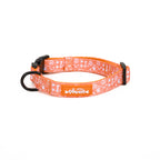 An orange dog collar with a pattern of paws and the text 'TP ADVENTURES' on it.