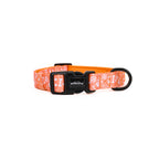 Dog collar with white pattern and black buckle on a white background