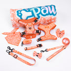 Collection of dog accessories including harnesses, leashes, and a bow tie with 'Paw' branding on a white background.